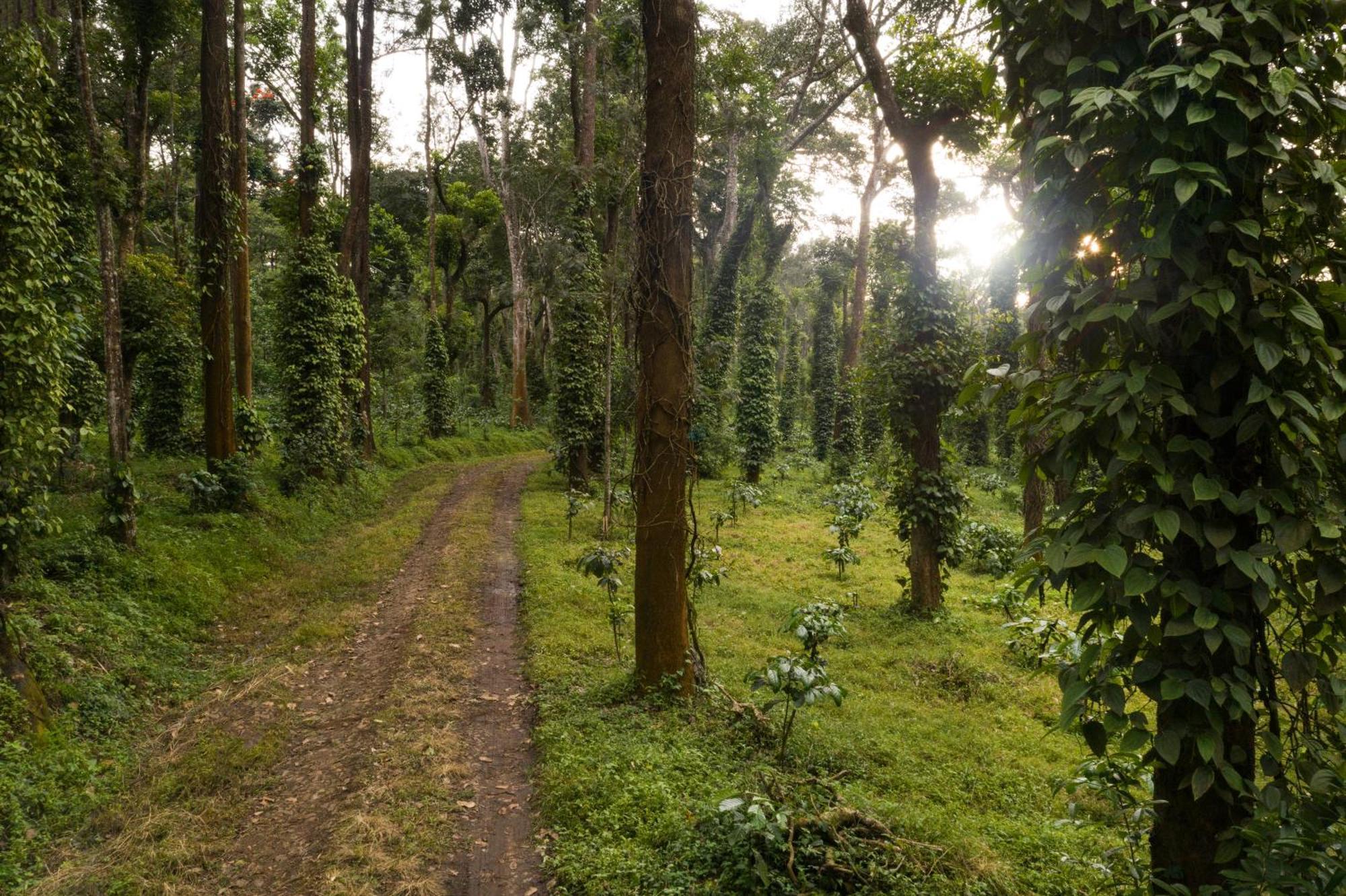 Tusker Trail By Luxunlock Ξενοδοχείο Suntikoppa Εξωτερικό φωτογραφία